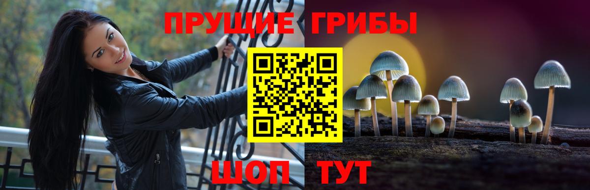 Галлюциногенные грибы Psilocybe Елизово